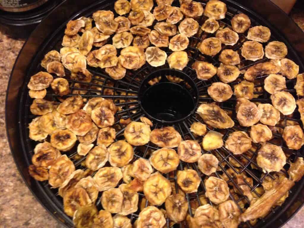 Dehydrated Banana Chips