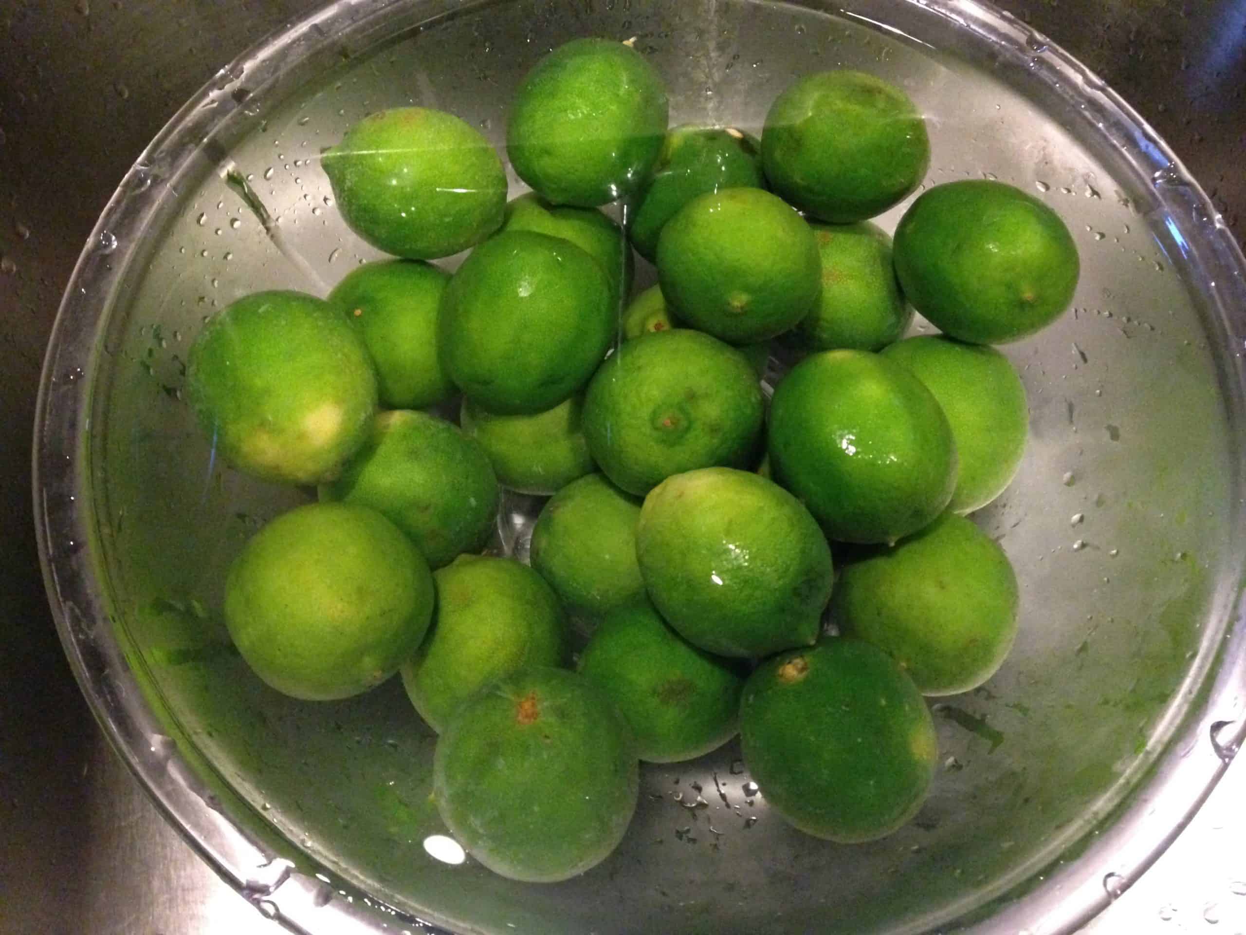 Limes for Salt Preserving