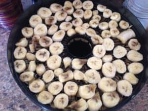 Sliced bananas going into the dehydrator