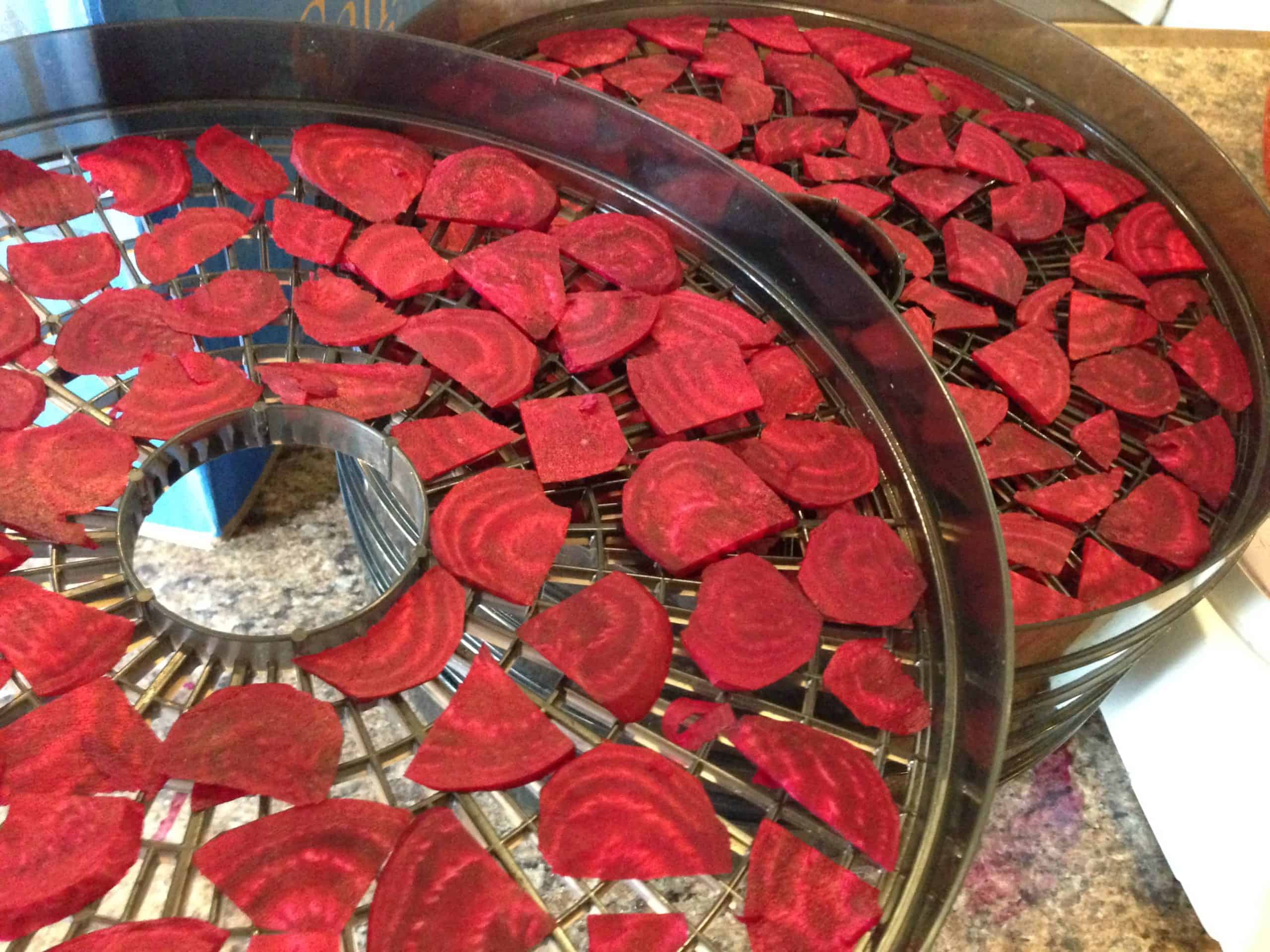 Sliced beets going into the dehydrator