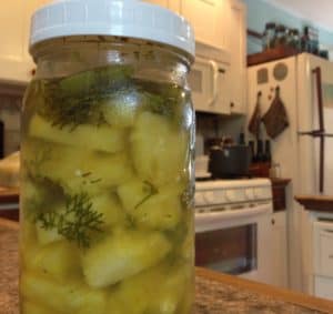 Pickled Pineapple with Cilantro