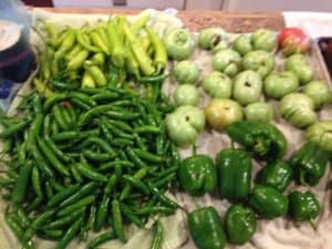 Peppers and green tomatoes picked before the first freeze