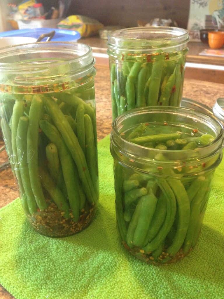 Spicy Dilly Beans - Preserving My Sanity