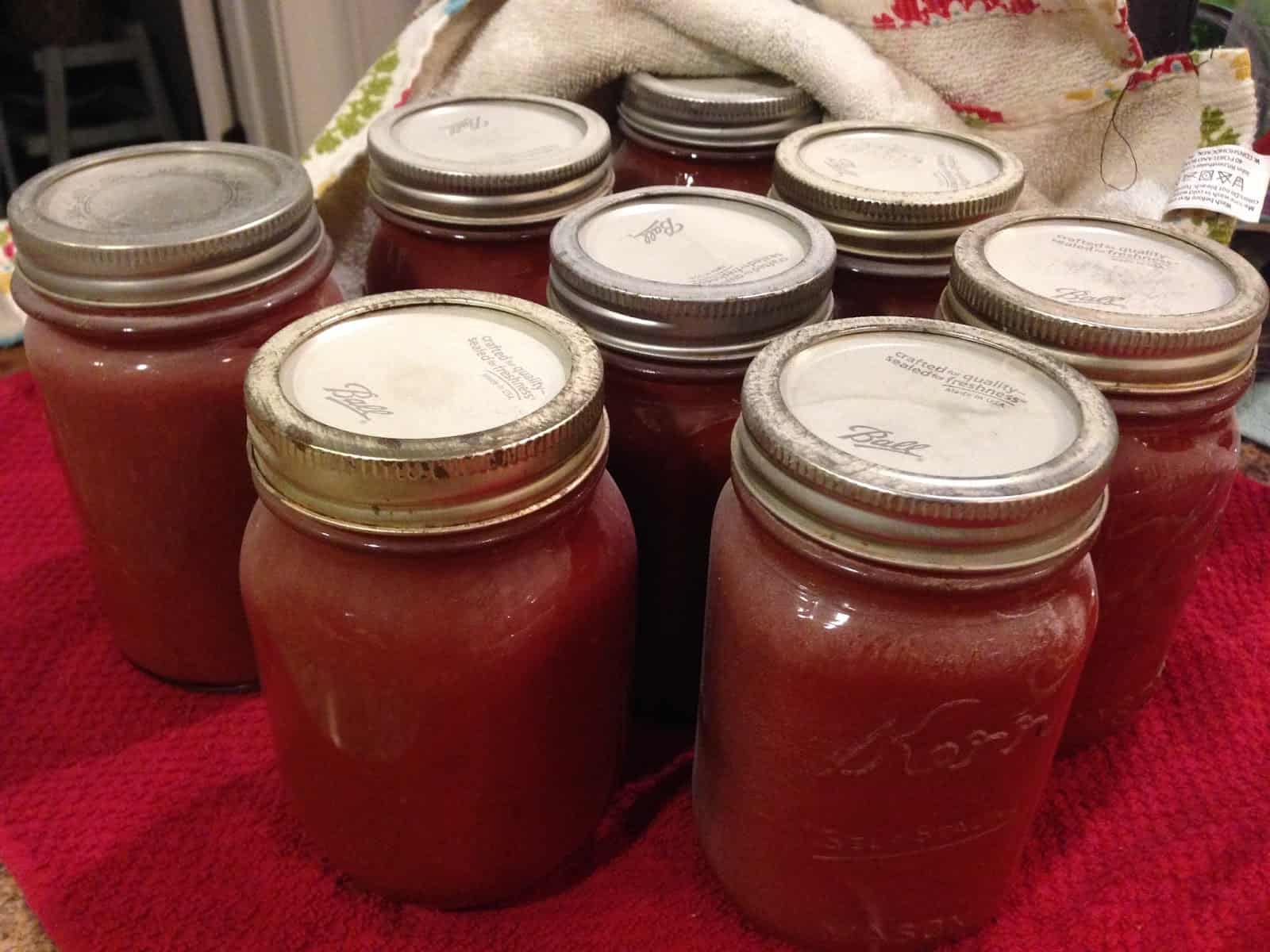 Canning Homemade Ketchup Preserving My Sanity