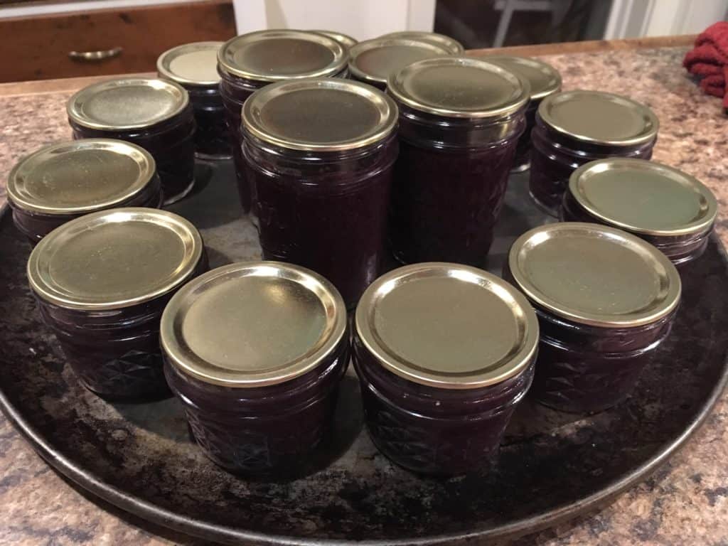 Blueberry mustard: complete!