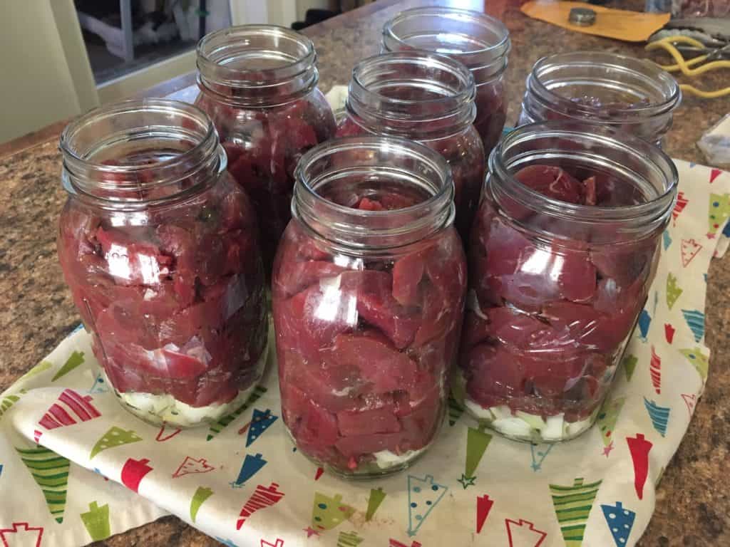Jars of cubed venison ready to be pressure canned