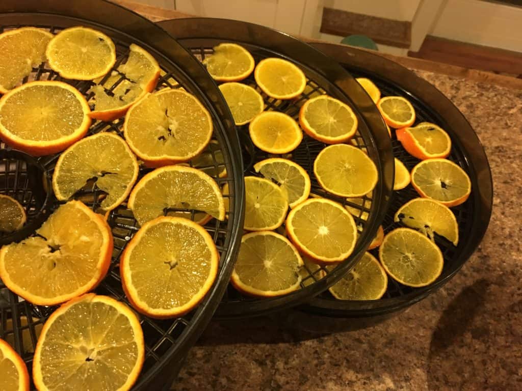 The orange slices going into the dehydrator