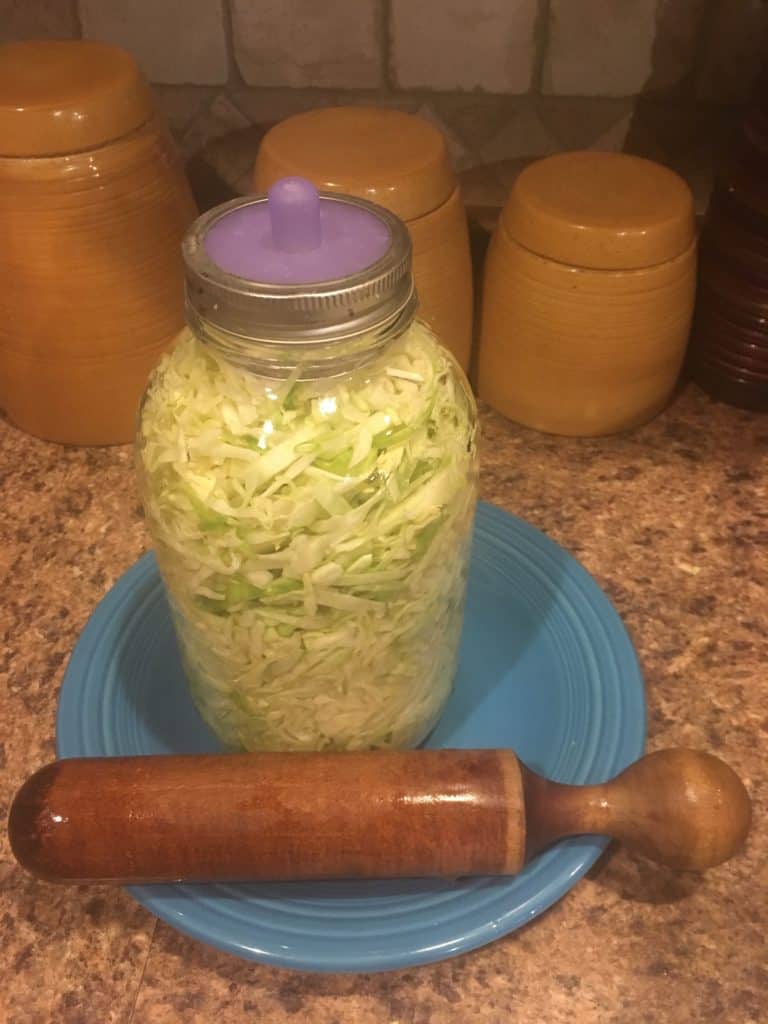 The sauerkraut ready to start fermenting