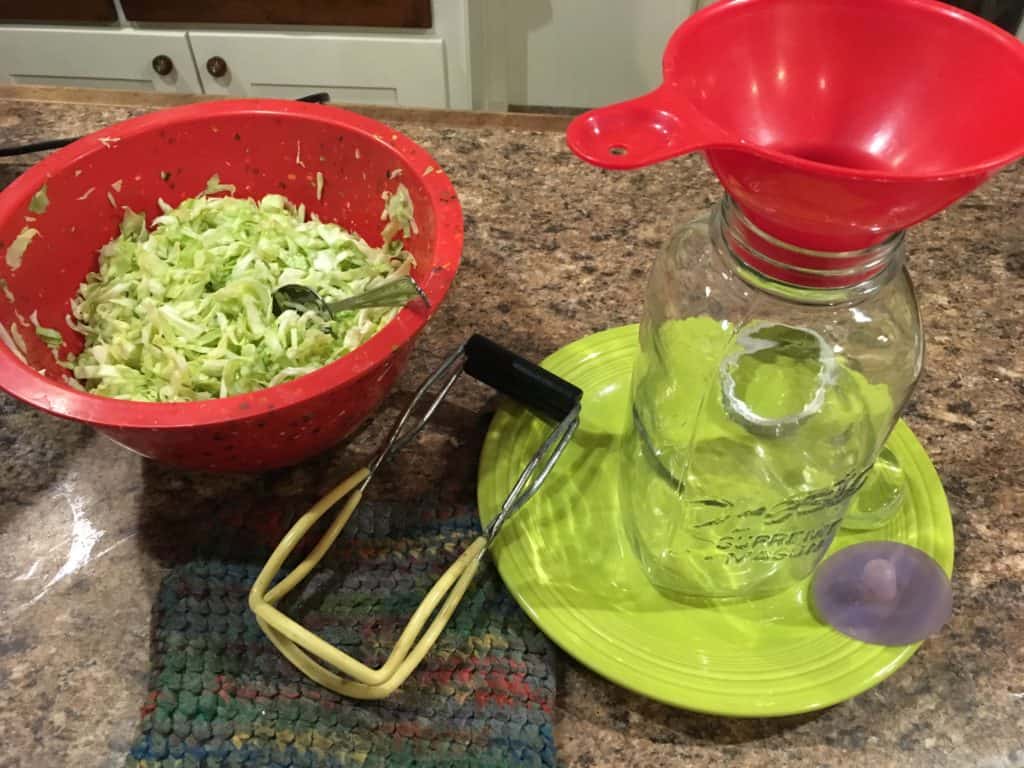 Packing the cabbage into the jar for sauerkraut