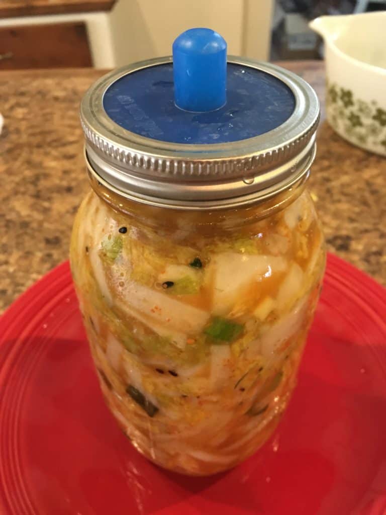 Fermented Traditional Kimchi