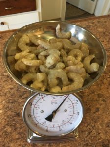 Weighing the shrimp for purpose of recipe development