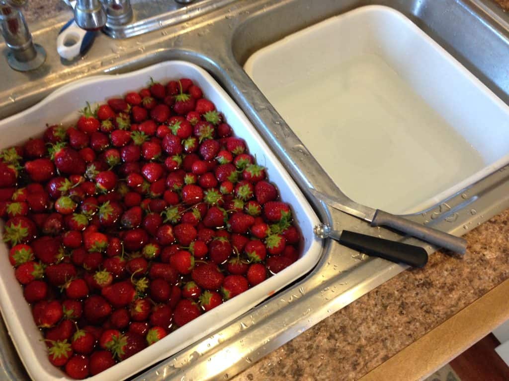 Cleaning the tops off fresh strawberries is always a big job. Having the right tools helps!