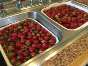 Two sinks full of fresh strawberries to clean