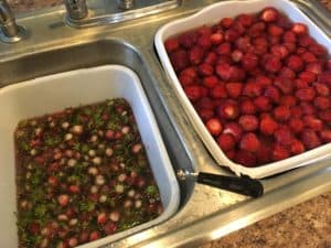 Removing hulls and washing fresh strawberries