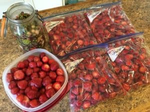 Fresh strawberries ready for the refrigerator and freezer