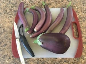Eggplant from our garden, before I peeled it for the meatball mixture.