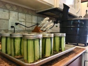 Low temperature pasteurized garlic dill pickles