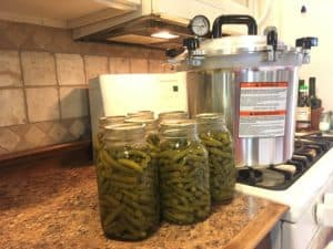 Pressure canning green beans