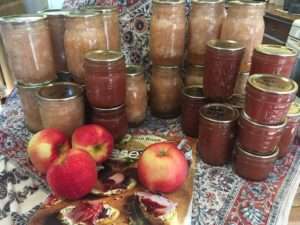 Applesauce and Apple Butter