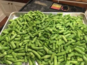 Green beans before dehdyrating