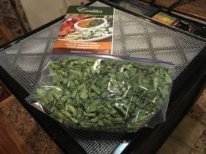 Green beans after dehydrating