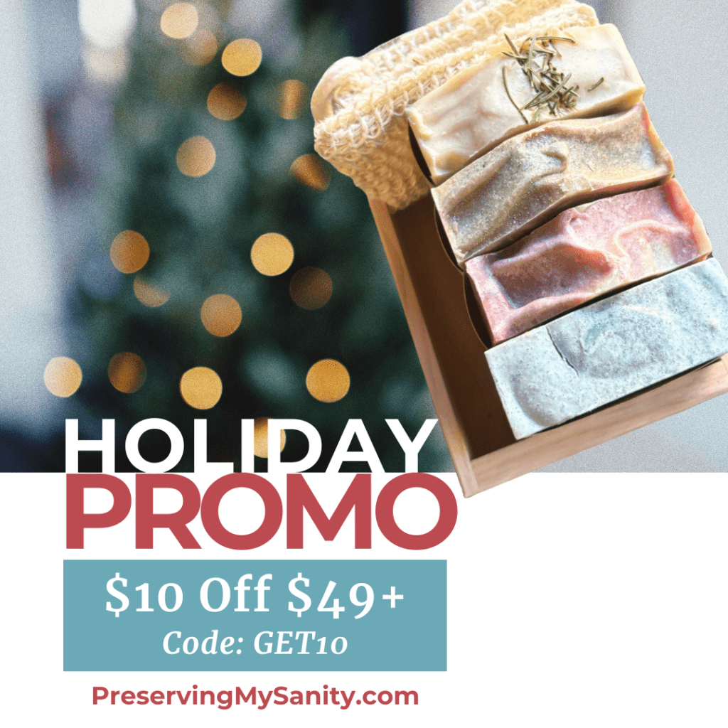 Holiday promo graphic for $10 off a $49+ purchase