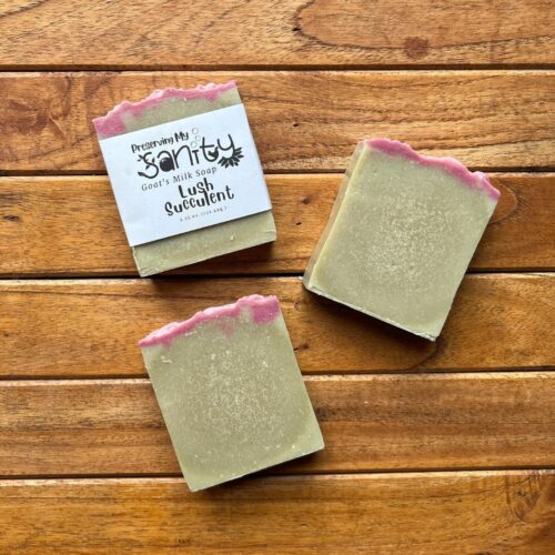 Plain interior flatlay of three bars of lush succulent soap on a stained wood table backdrop