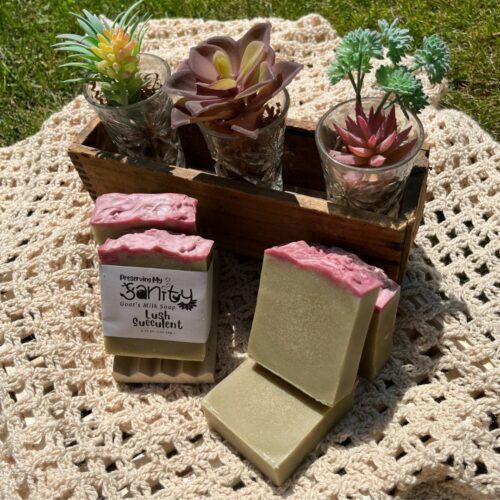 Exterior collage photo of some artificial succulents in vintage glasses and a wooden box, with lush succulent soap sitting on a crocheted sweater in the sunshine