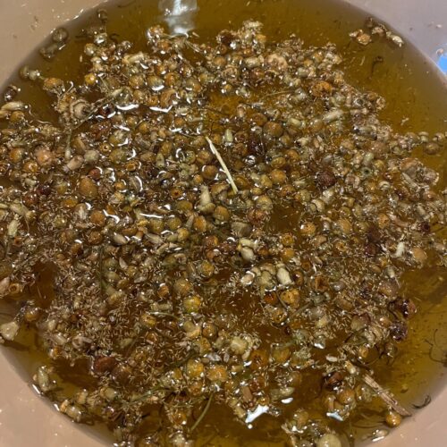 A behind the scenes photo of chamomile flowers infusing i olive oil before going into the batter for oatmeal chamomile soap