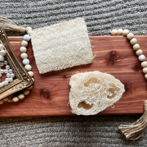 Flatlay photo showing a luffa sponge on a cedar board with a compressed luffa sponge to show how they are shipped