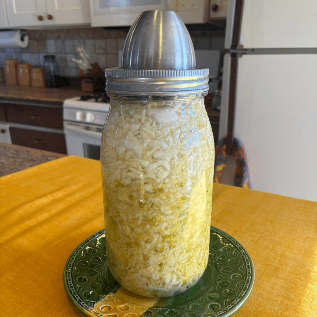 Photo of sauerkraut fermenting in a fermentation device
