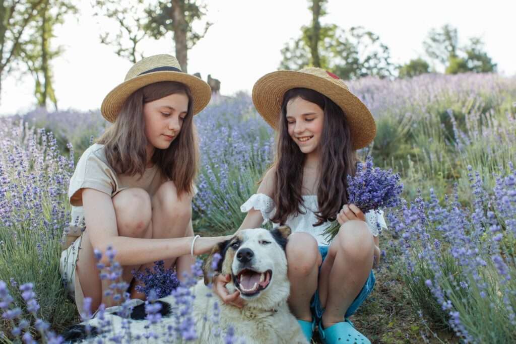 Photo of two young girls in a lavender field who are smiling and petting a happy dog