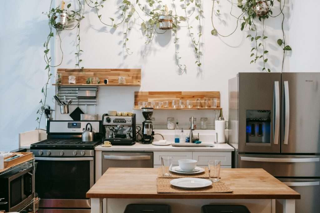 Photo of a pretty rustic kitchen with open floor plan, surrounded by plants hanging on the wall.