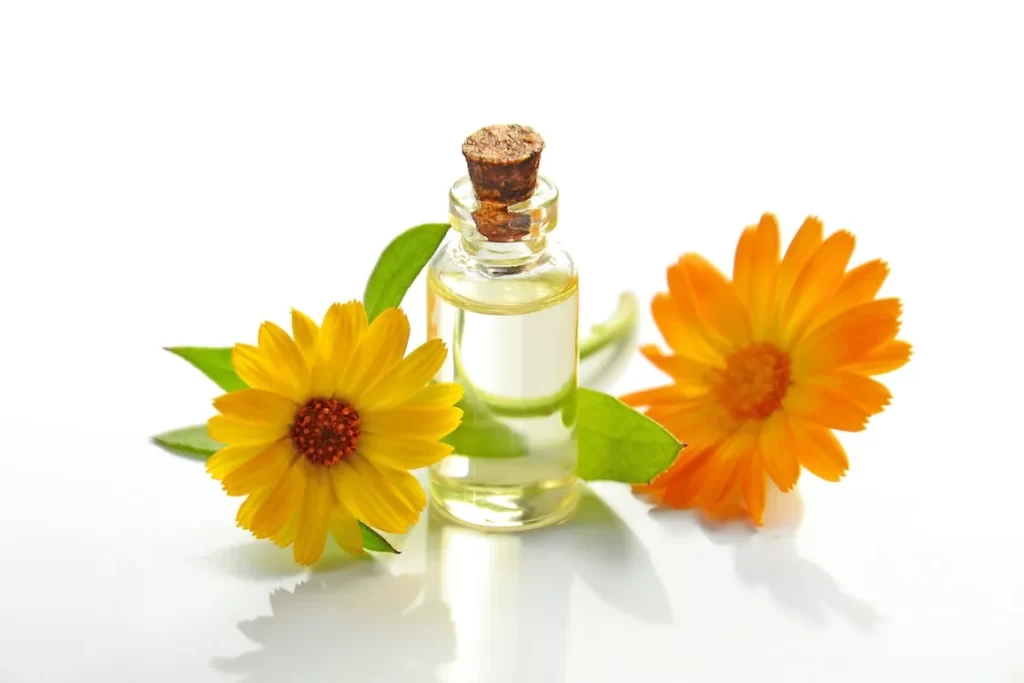 Simple photo of two fresh flowers and a bottle of oil