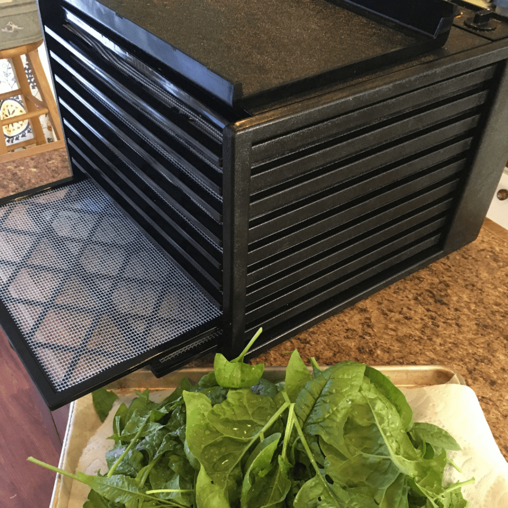 Excalibur Dehydrator