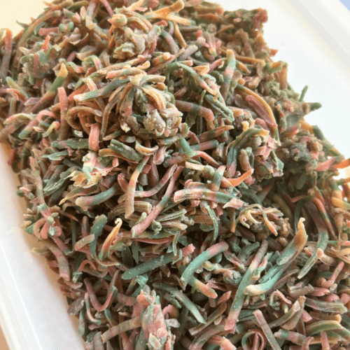 Closeup photo of a container of bubblegum soap bath sprinkles.