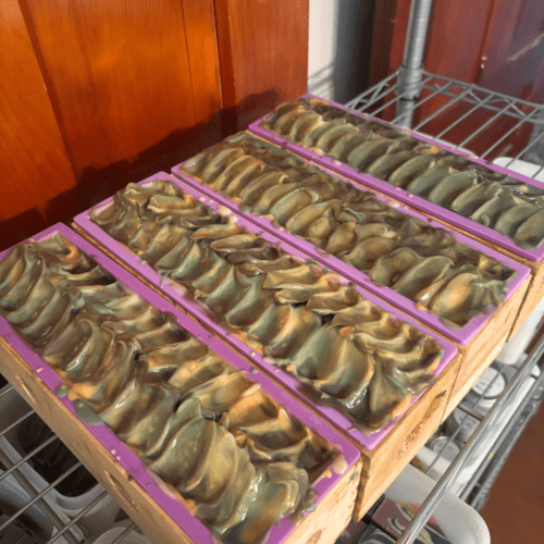 Process photo showcasing four loaves of freshly poured Minnesota Woods goat milk soap.