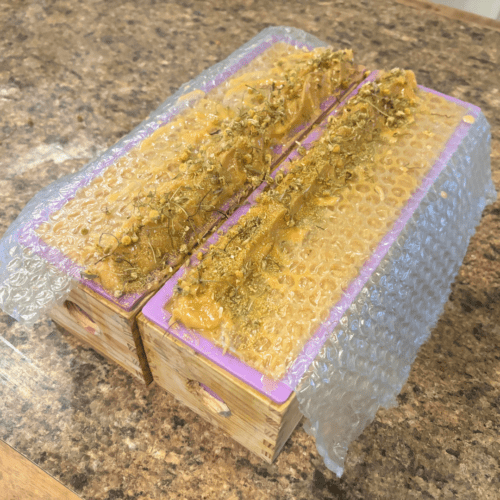 Process photo showcasing two freshly poured loaves of Oatmeal MIlk and Honey goat milk soap with bubble wrap on the top to create texture and some dried chamomile flowers for decoration