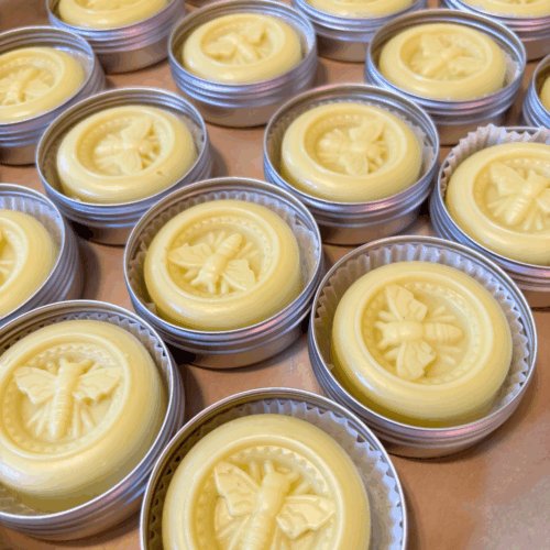 Process photo showing several bug lotion bars on a tray just after being placed into their reusable aluminum tins. The lotion bars have a bee design in them from the silicon mold they are poured into.