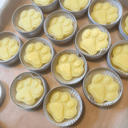 Process photo showing a tray of freshly made dog paw balms, paw-shaped and placed in reusable aluminum tins. Made in small batches in my Minnesota kitchen, these are perfect for dog paws and noses.